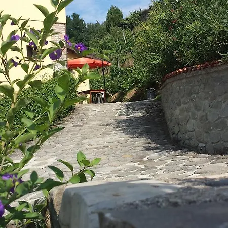 Il Poderetto ファームステイ Licciana Nardi